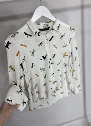 Блуза , рубашка zara 6