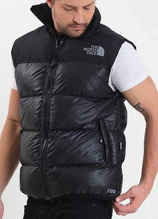 Чоловічий жилет tnf