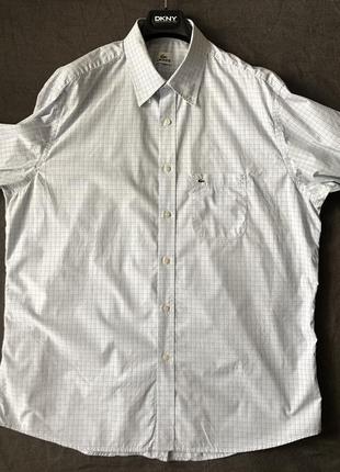 Рубашка lacoste. большой размер.4 фото