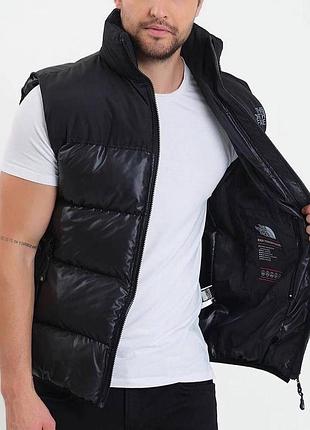 Чоловічий жилет tnf