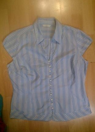 Фірмова блузка marks & spencer