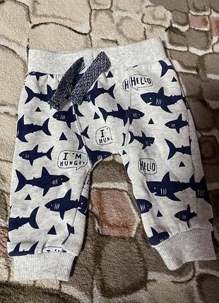 Спортивні штани