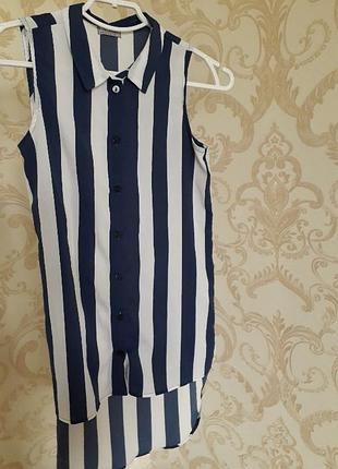 Блуза в полоску next