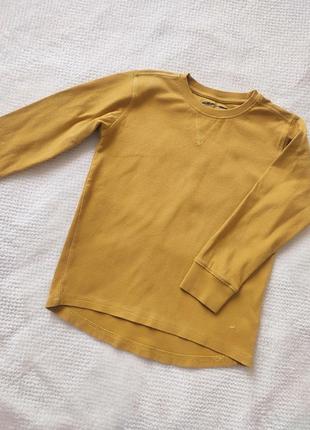 Лонг на мальчика. реглан для мальчика. батник