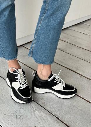 Кпрсівки шкіряні