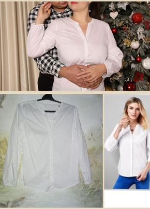 Классическая нежная блуза, блузка, рубашка с объемными рукавами от tchibo (немещелка),