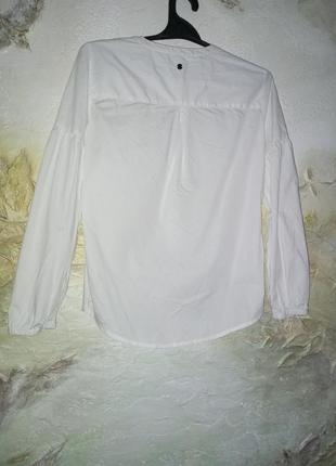 Классическая нежная блуза, блузка, рубашка с объемными рукавами от tchibo (немещелка),5 фото