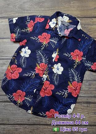 Теніска, сорочка, гавайка