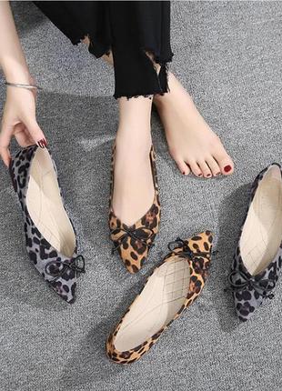 Новые туфли лодочки леопард с острым носком на низком каблуке new look3 фото