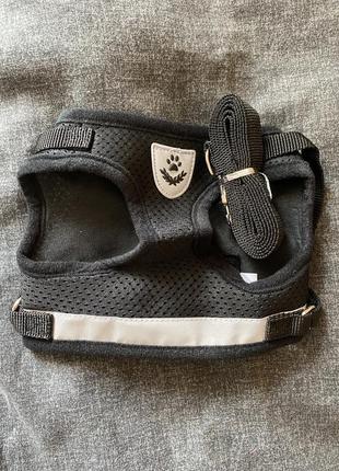 Шлейка, упряжка для собак