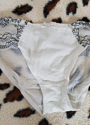 Трусики труси нижня білизна