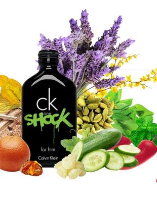 Calvin klein shock for men sales