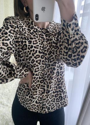 Блуза в леопардовый принт рубашка коттон