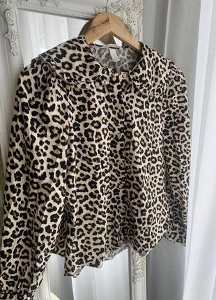 Блуза в леопардовый принт рубашка коттон6 фото