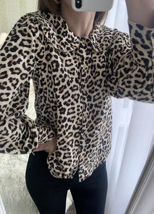 Блуза в леопардовый принт рубашка коттон8 фото