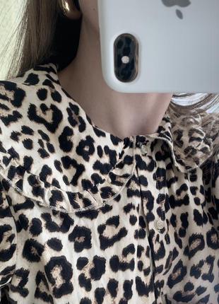 Блуза в леопардовый принт рубашка коттон2 фото