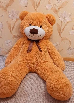 Плюшевий ведмідь