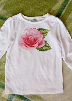 Білий реглан crazy8 (крэзи8) на ріст 110-116