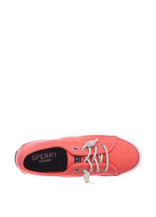 Кеды sperry3 фото