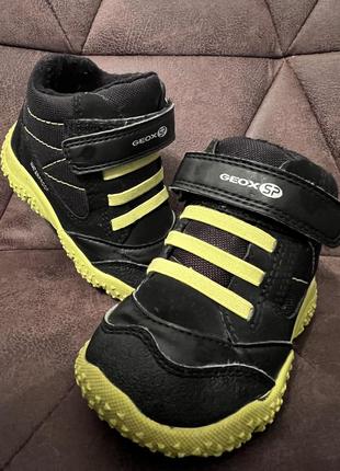 Geox baltic - детские ботинки со вставками на шнуровке и липучках. длина стельки 13,7-14 см