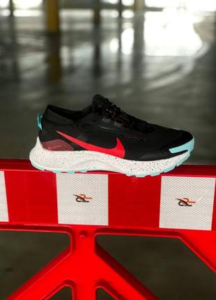 Мужские кроссовки nike pegasus 8