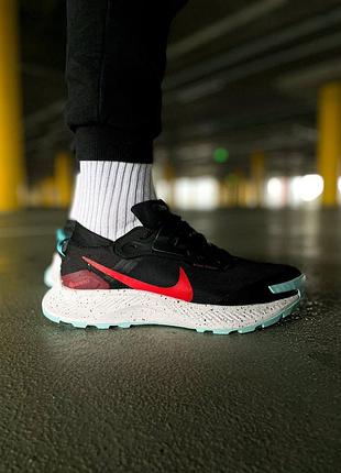 Мужские кроссовки nike pegasus