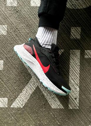 Мужские кроссовки nike pegasus 2