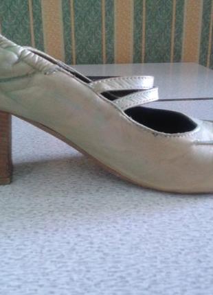 Жіночі туфлі gidigio3 фото
