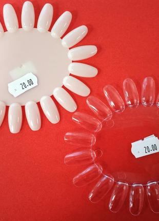 Палітра «ромашка» на 20 тіпс