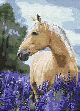 Картина по номерам лошадь kho4392 прогулянка лавандовим полем, 40x50 см ідейка melmil