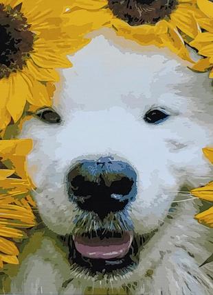 Картина по номерам собака песик у соняшниках strateg розміром 40х50 см (sy6813) strateg melmil