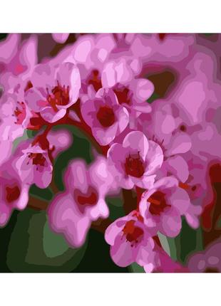 Картина по номерам сакура цветы 40х50 см (gs238) melmil
