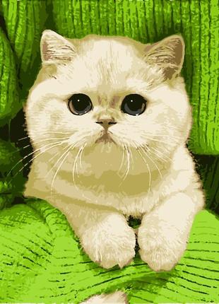 Картина по номерам кіт "киця" 40*50 см melmil