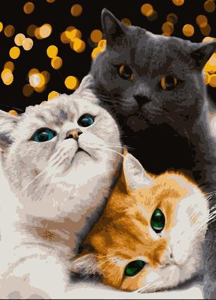 Картина по номерам кіт котики-муркотики 50 х 60 см artissimo pnх4200 melmil1 фото