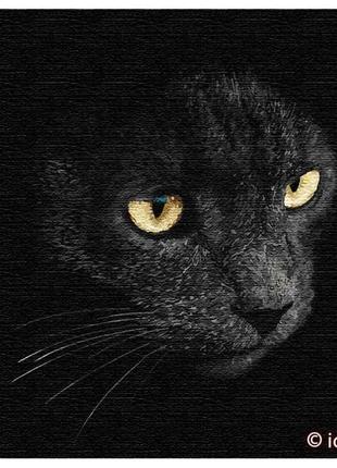 Картина по номерам черный кот кно4204 взгляд хищника 40 х 40 см идейка животные на картине melmil