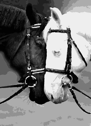 Картина по номерам лошади инь и янь 50 х 60 см artissimo pnx4290 melmil