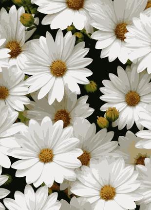 Картина по номерам квіти улюлені ромашки 50 х 60 см artissimo pnx7050 melmil