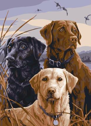 Картина по номерам з собаками "на полювання" art craft 11680-ac 40х50 см melmil