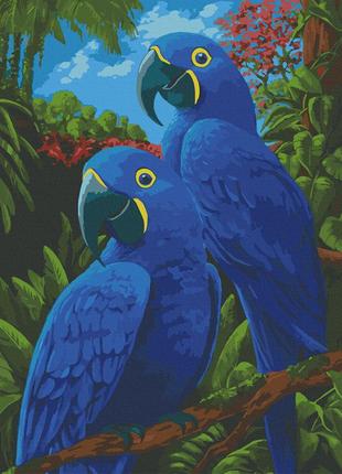 Картина по номерам папуги 40 х 50 см art craft 11639-ac блакитні ари melmil
