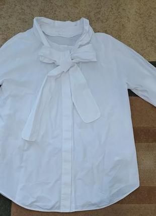 Белая белая рубашка блуза блузка рубашка с, м, л размер1 фото