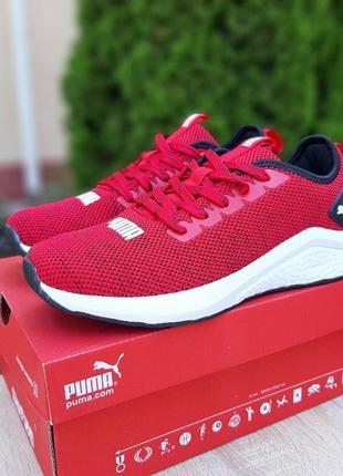 Мужские кроссовки puma2 фото