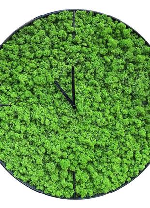 Часы со стабилизированным мхом, в металлическом корпусе. so green, диаметр 20 см