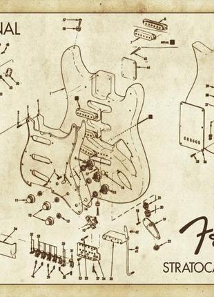 Плакат fender stratocaster (avoiding)