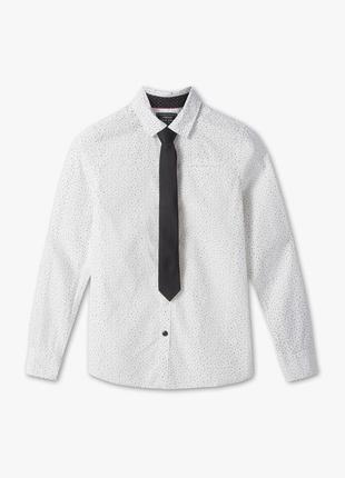 Комплект c&a - сорочка з біобавовни і краватку1 фото