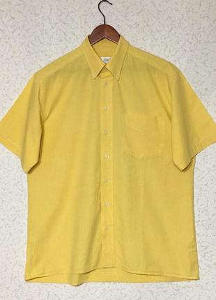 Шведка чоловіча angelo litrico (l)