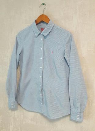 Классическая рубашка в мелкую голубую клетку. рубашка в клетку joules