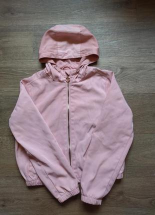 Вітровочка