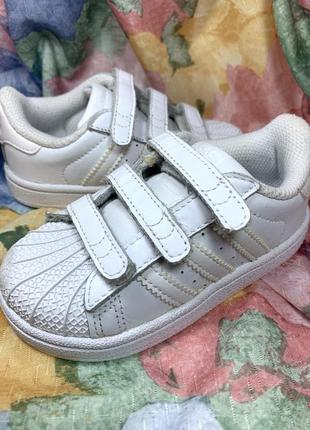Кросівки шкіряні adidas superstar