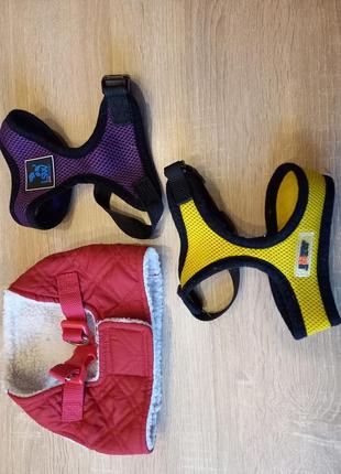 Продам шлейку для кошек и собак