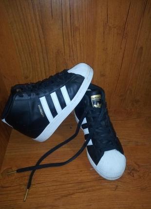 Кросівки крассовки кєди на танкетці adidas superstar la marque aux 3 bandes